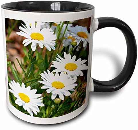 3Drose Mug_56294_4 Prilične bijele tratinčice - Cvjetovi - cvjetni ispis Crna šalica s dva tona, 11 oz, višebojna