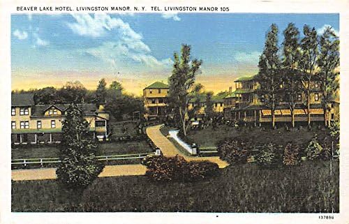 Livingston Manor, njujorška razgledna razglednica