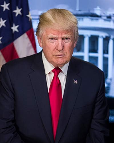 Fotografija Donald Trumpa - Povijesna umjetnička djela iz . - Portret američkog predsjednika - - Sjaj