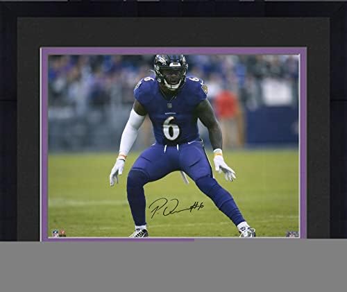 Uokvireni Patrick Queen Baltimore Ravens Autografirani 16 x 20 PURPLE PETAL PETAL - AUTOGRAFIRANI NFL FOTOGRAFIJE