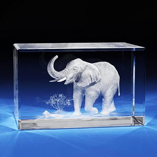Slon 3D foto kristal, poklon ljubitelja životinja, ugravirana umjetnost, laserski ispis, matični dan dar od kćeri, dekor doma, divlje