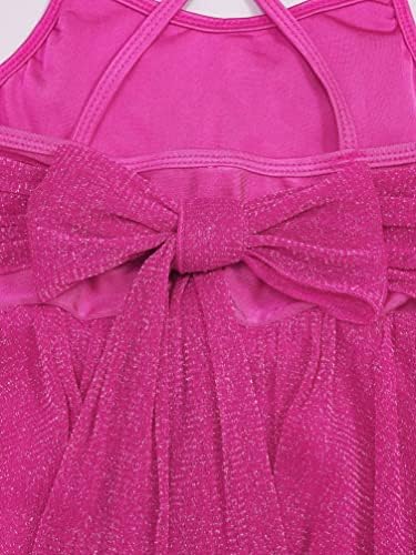 Yizyif Girls 'Gittery Mesh prekrivanje lirske plesne haljine Blesna kostimi za plesnu kostimi