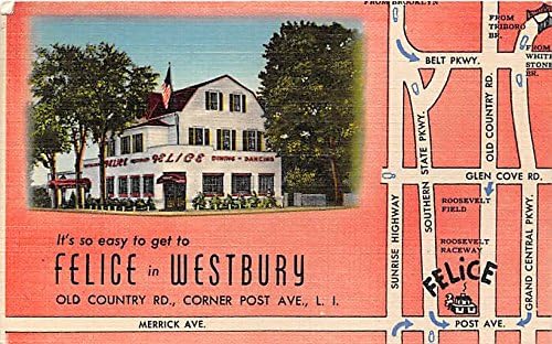Westbury, L.I., New York razgledna razglednica
