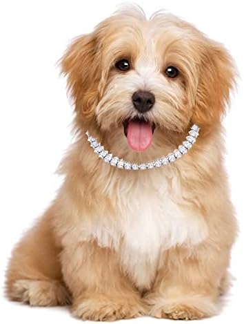 Ovratnik Dog Longhair Zlatni lanac Ogrlica za pseće ogrlica metala Kubanska veza za srednje i velike pse teškim žvakaćim dokazom različite