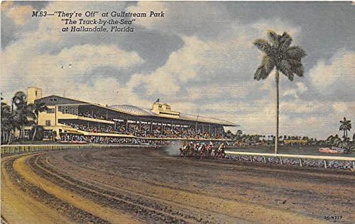 Odlazili su u parku Gulfstream, staza uz Sea Hallandale, Florida, FL, SAD Old Vintage Konjski utrka razglednice