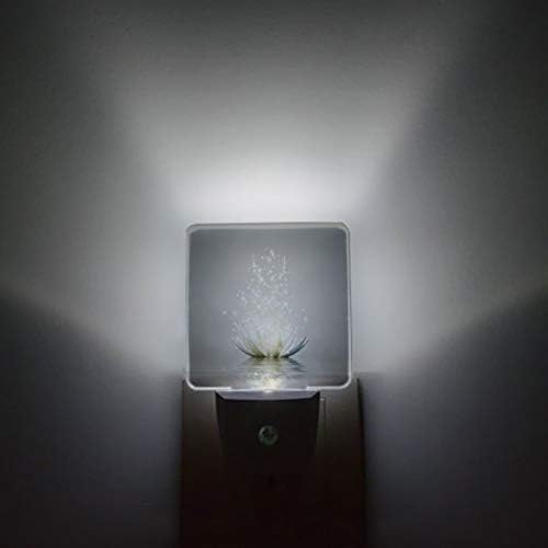 Noćna svjetlost u LED svjetlima za spavaću sobu, umjetnička lotus fantasy cvjetna svjetla priključite se u zid sa laganim senzorima