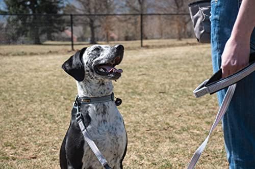 Ollydog Rescue podesivi ovratnik za pse s čvrstom kopčom, lagani ovratnik za trening za velike, srednje i male pse