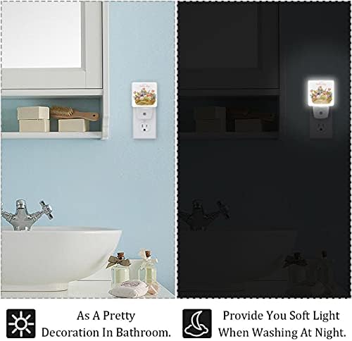 Rodailycay LED senzor sa automatskom sumrakom do zore, 2 pakiranja Plug-in Light za kupaonicu, spavaću sobu, dječju sobu, hodnik, stepenice,