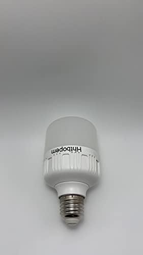 Žarulje sa žarnom niti, ekvivalent 60 vata, 5000 K dnevnog svjetla, bijele LED žarulje, ugodne za oči žarulje sa žarnom niti