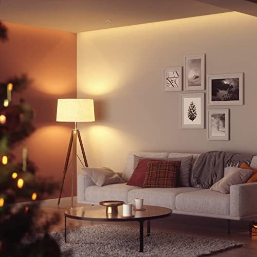Pametna LED svjetiljka s mogućnošću promjene boje-bumbar i prelazak s Tople na hladnu bijelu, aplikacija i glasovna kontrola )